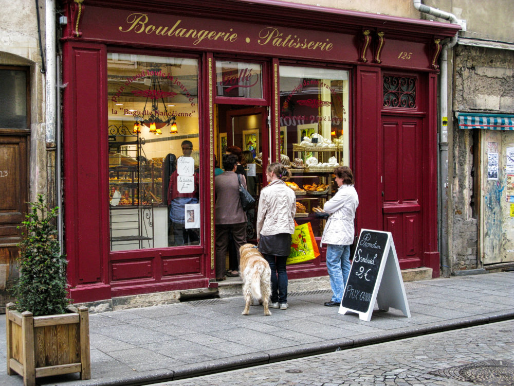 dogs-in-france-caf-s-shops-metro-museums-etc-france-travel-info